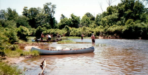 canoebeach.jpg