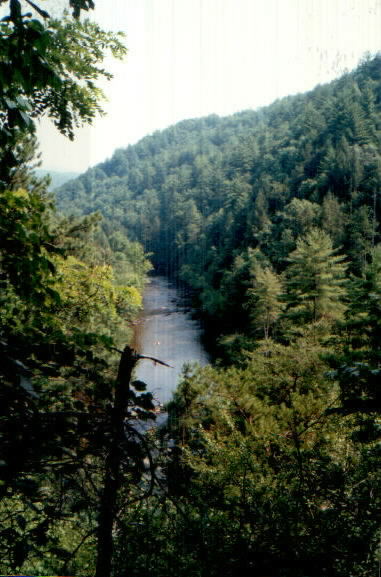 A woman mountain biking; Actual size=180 pixels wide