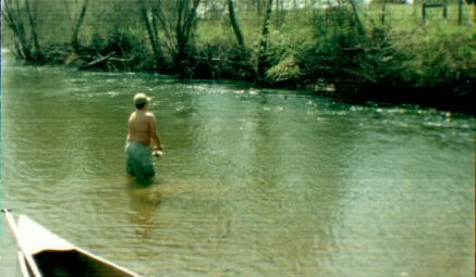 statelinefish2.jpg